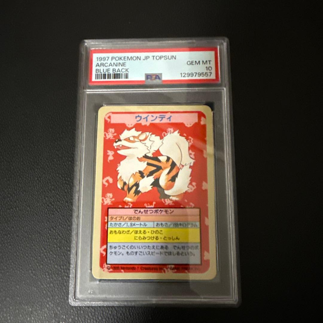 ウインディ　トップサン　ナンバーなし　PSA10