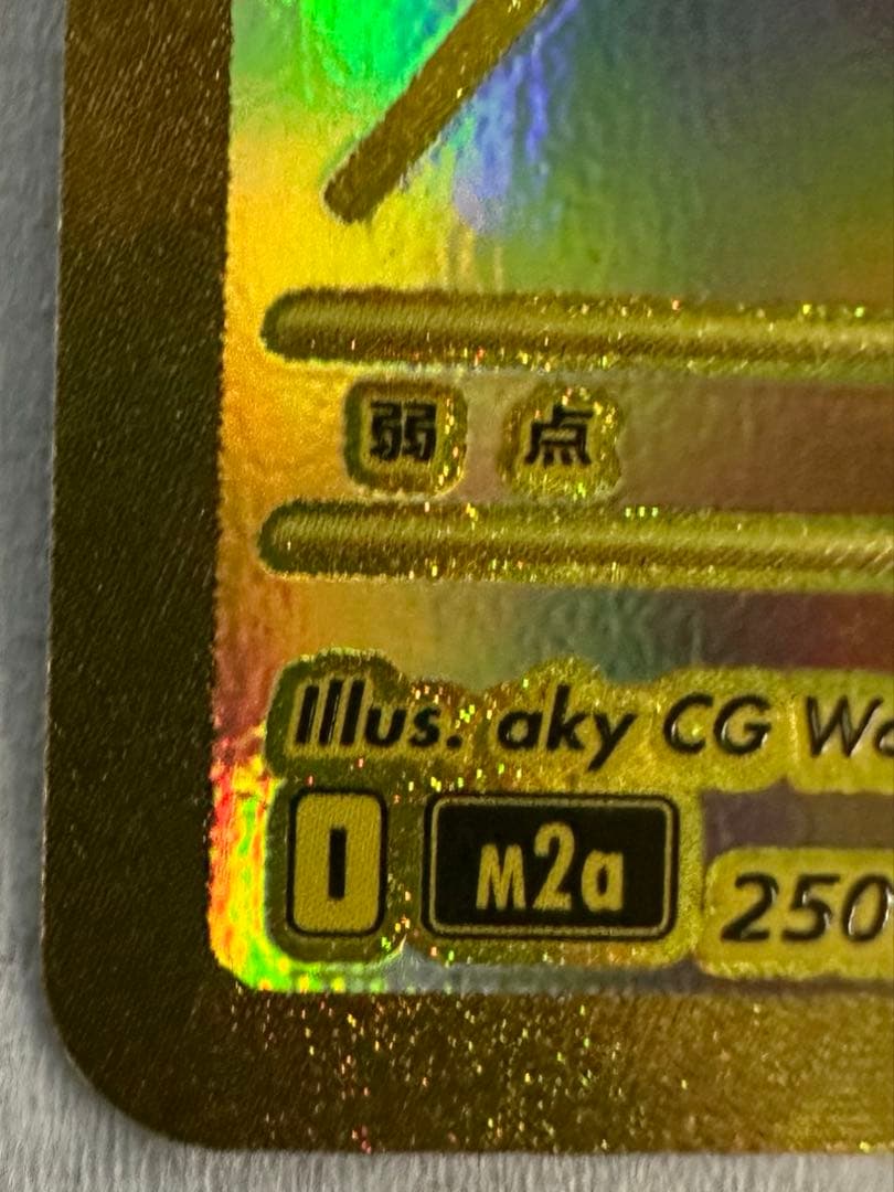 メガカイリューex mur 250/193