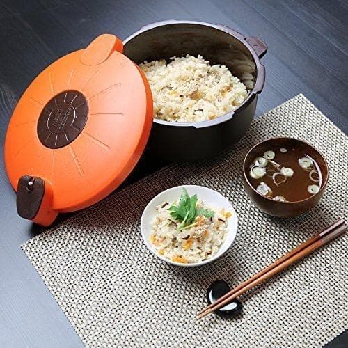 圧力鍋　電子レンジ　新品未使用　調理器具　火を使わない　レシピ付き　箱無し