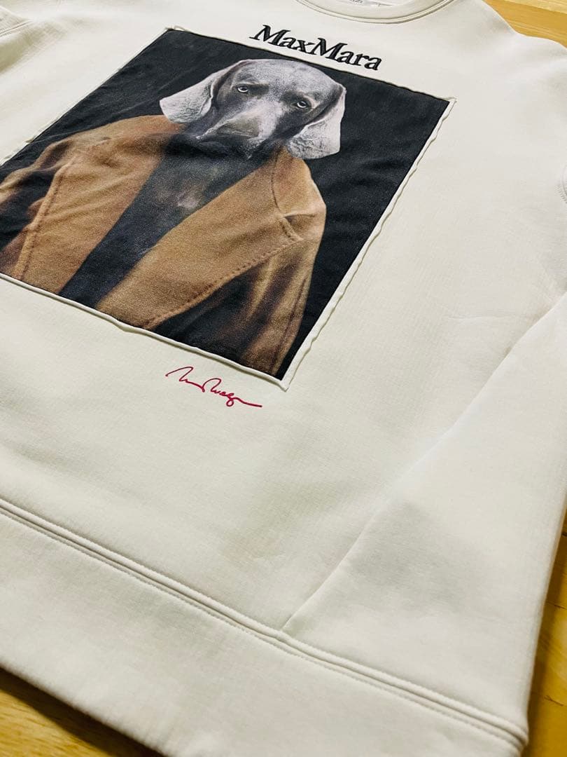 MAX MARA マックスマーラ バッコ コットン ジャージー スウェットXS