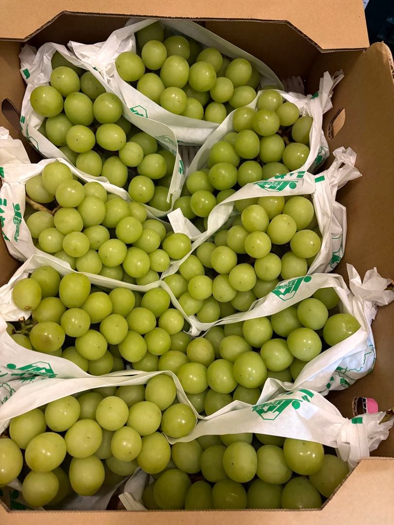 山梨県産　シャインマスカット　9房セット　5kg