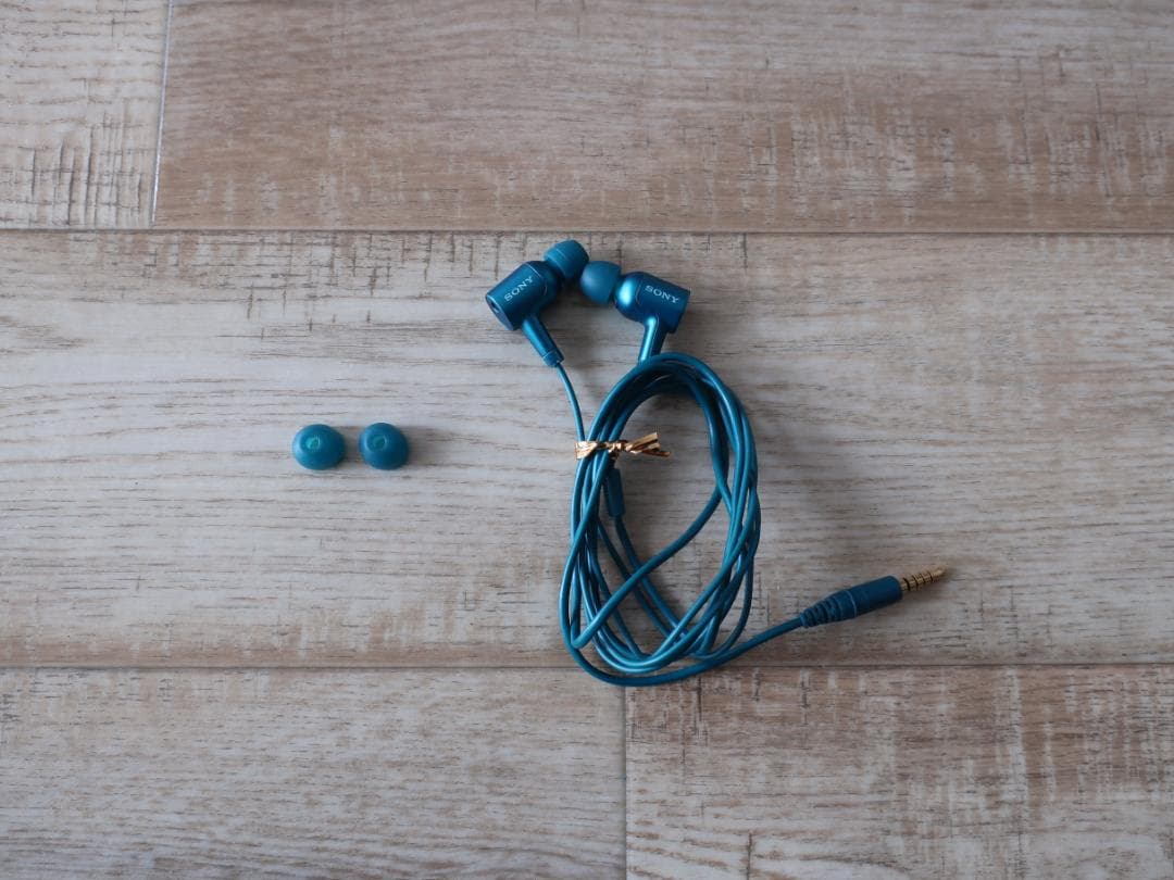 ★希少 SONY ハイレゾノイキャンイヤホン MDR-NW750N