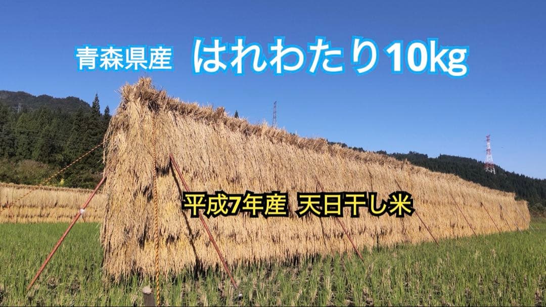 青森県産　はれわたり10㎏　【天日干し米】