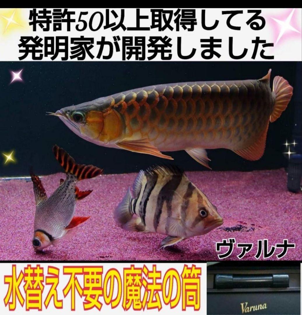 k.rsoccerlove69　ヴァルナ23センチ