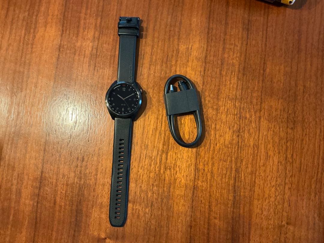 Garmin ガーミン S42