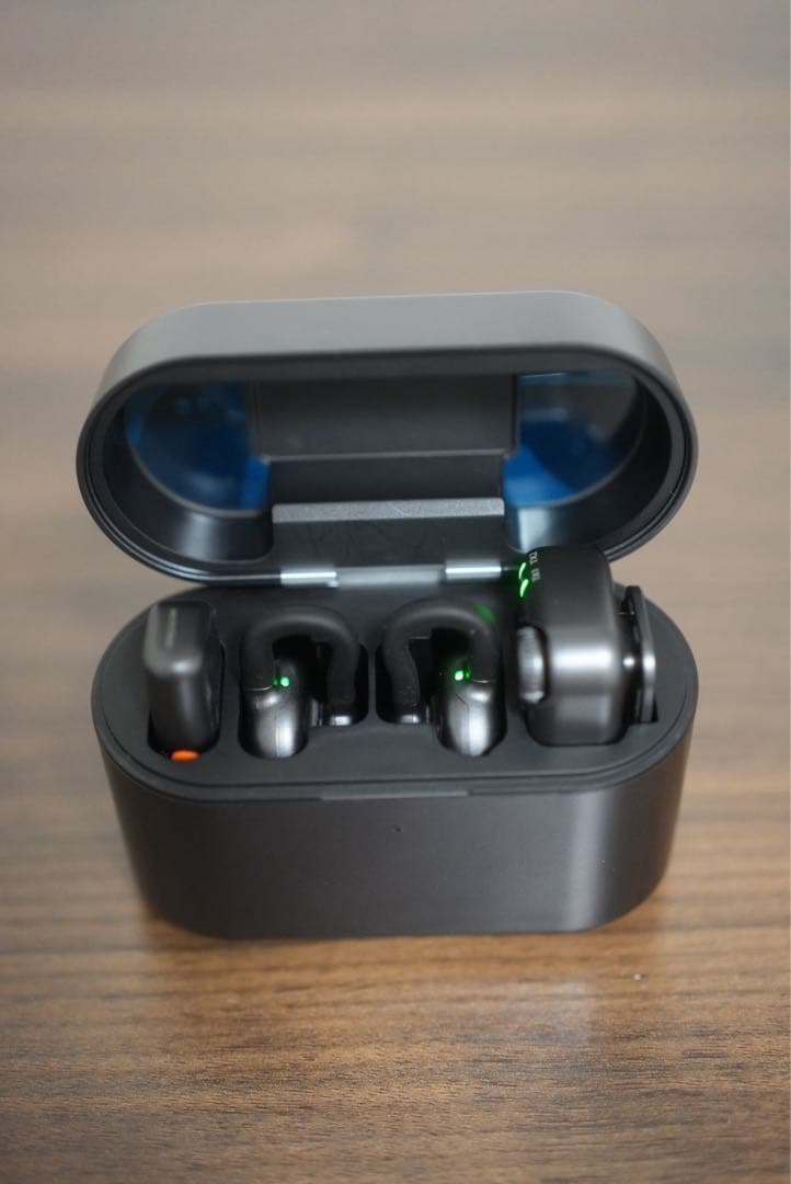 HOLLYLAND LARK M2Sワイヤレスイヤフォン