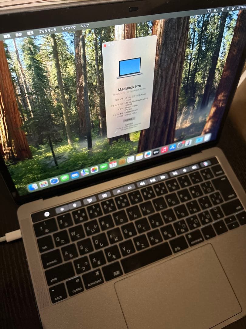 Apple MacBook Pro 13インチ 2019