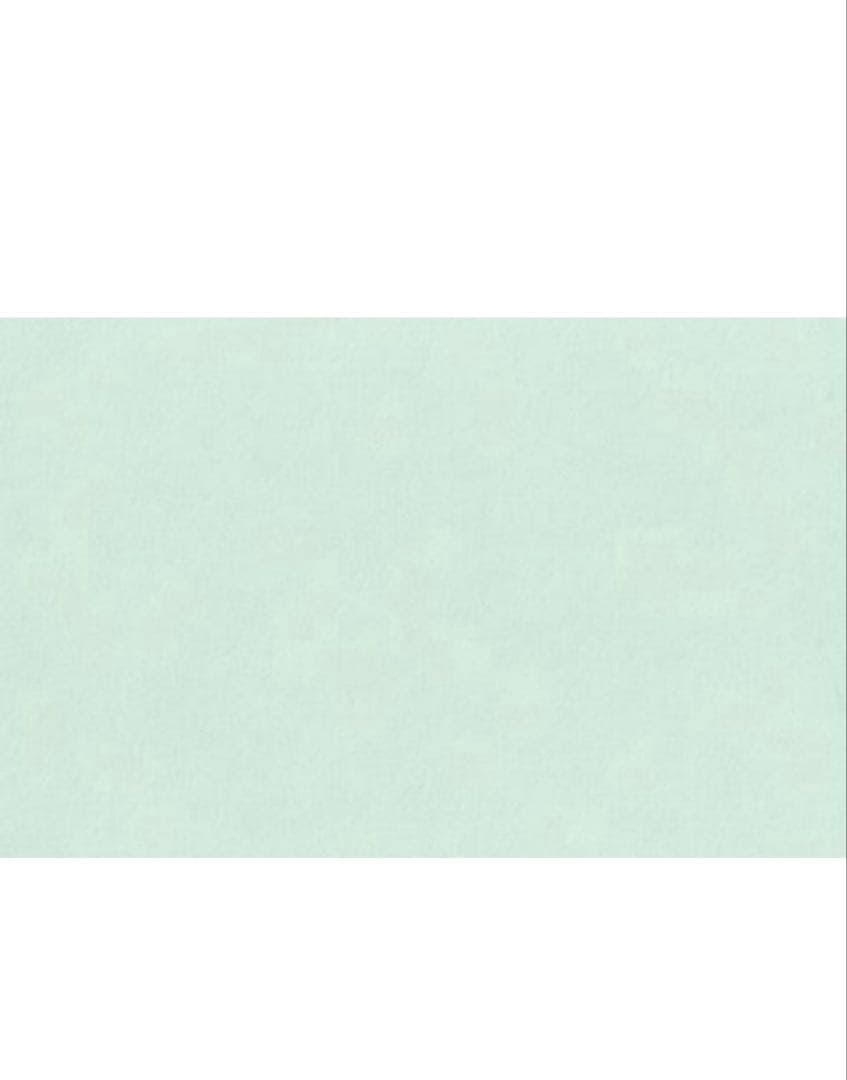 恋ちゃん様・専用