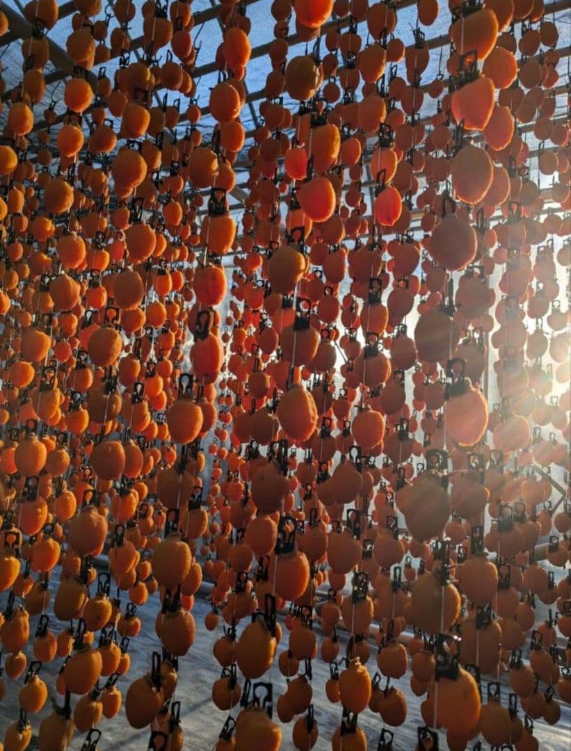 ⑳ 小玉 市田柿 ３kg Lサイズ 長野県産 農家直送 干し柿 固め