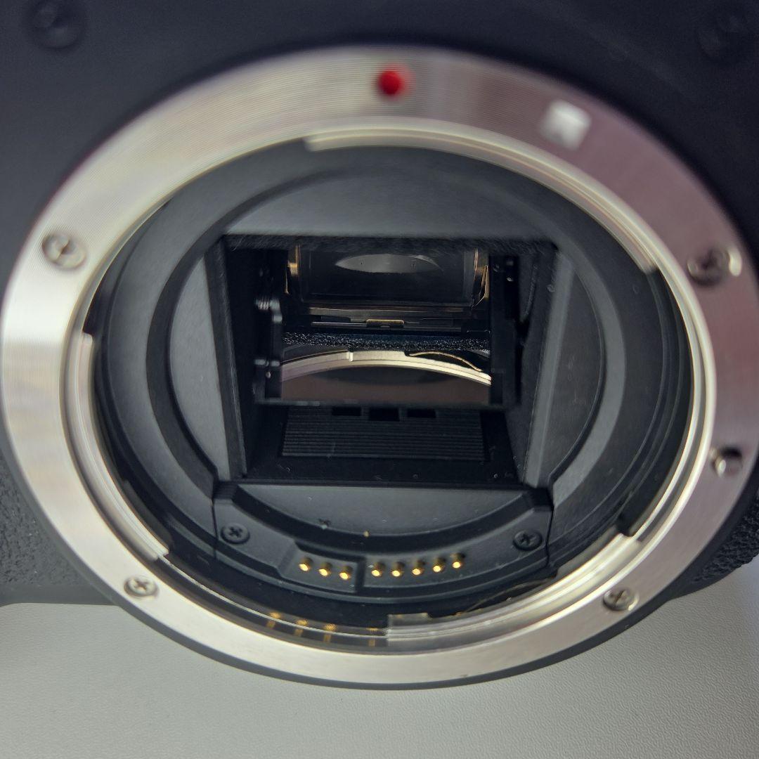 【本日限定値下げ‼️すぐ使える・動作確認済】Canon kissx5