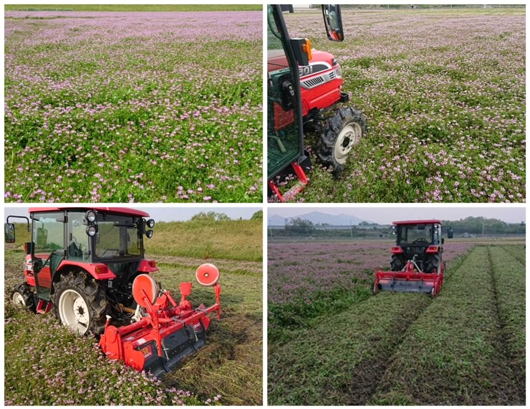 6年産　古米　兵庫播州れんげ米　きぬむすめ　精米　極1等米10Kg　農直送料無料