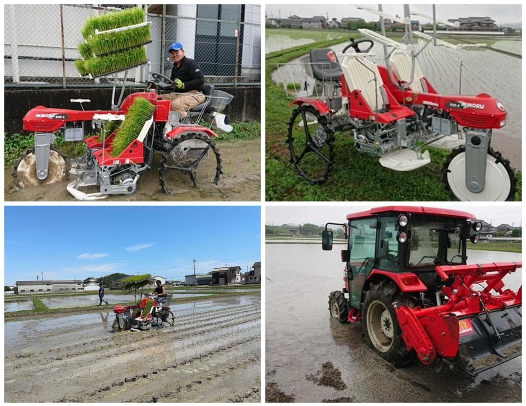 6年産　古米　兵庫播州れんげ米　きぬむすめ　精米　極1等米10Kg　農直送料無料