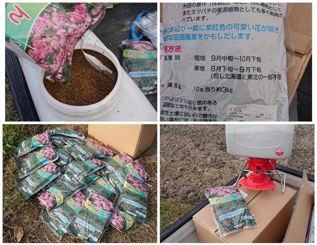 6年産　古米　兵庫播州れんげ米　きぬむすめ　精米　極1等米10Kg　農直送料無料