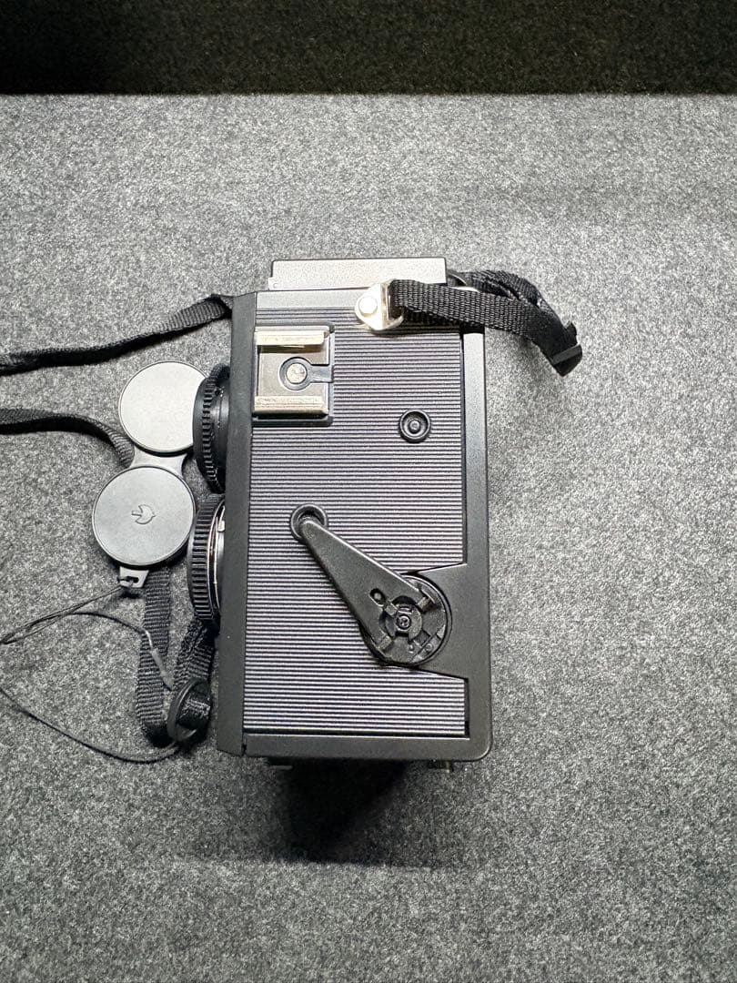 blackbird.fly 二眼 トイカメラ