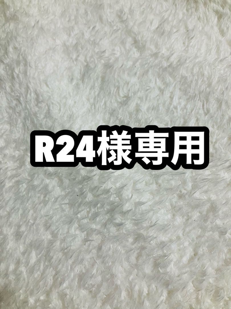 R24 PSA10 メガリザードンY ex mur 3/4