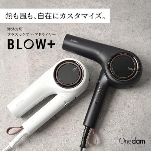 Onedam ワンダム ヘアドライヤー 海外対応 大風量 速乾 プラズマケア A