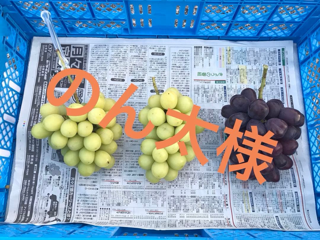 【のんた様】シャインマスカット他