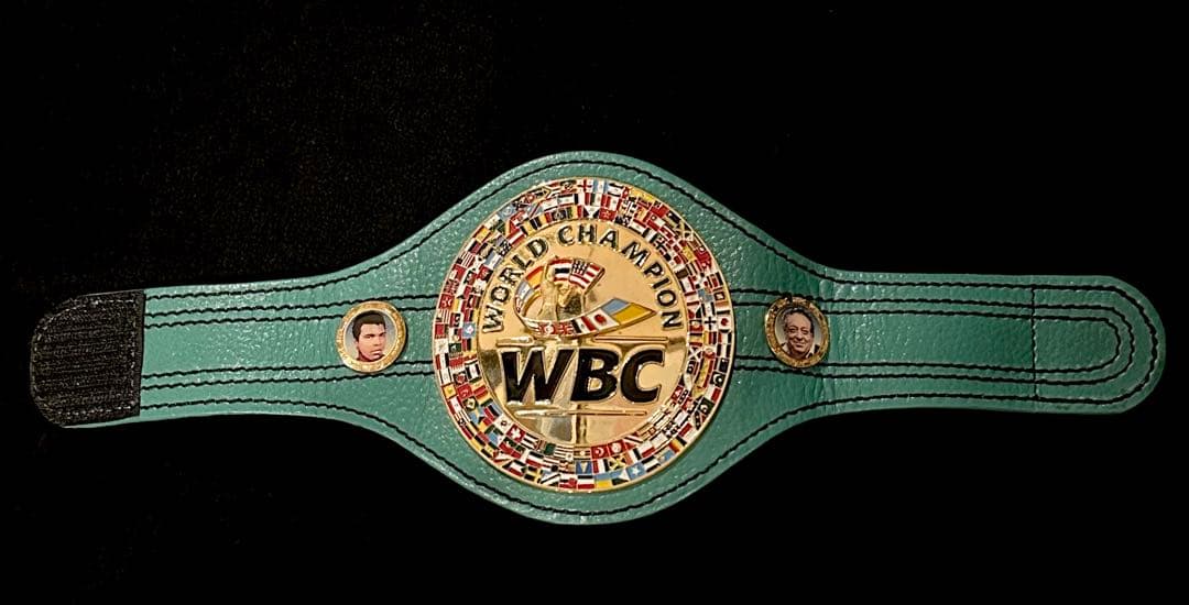 WBCミニ チャンピオンベルト ボクシング