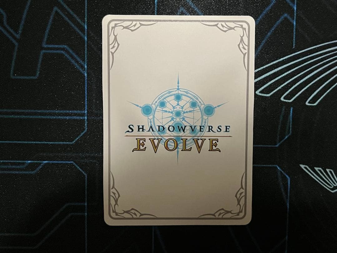 シャドウバースエボルヴ 遥かなる絆・アン＆グレア リーダーカード　美品