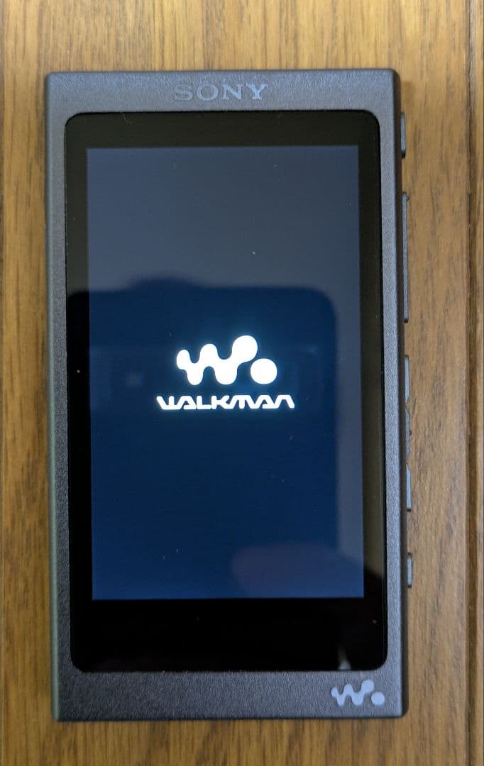 ソニー ウォークマン NW-A35 microSD 64GB付