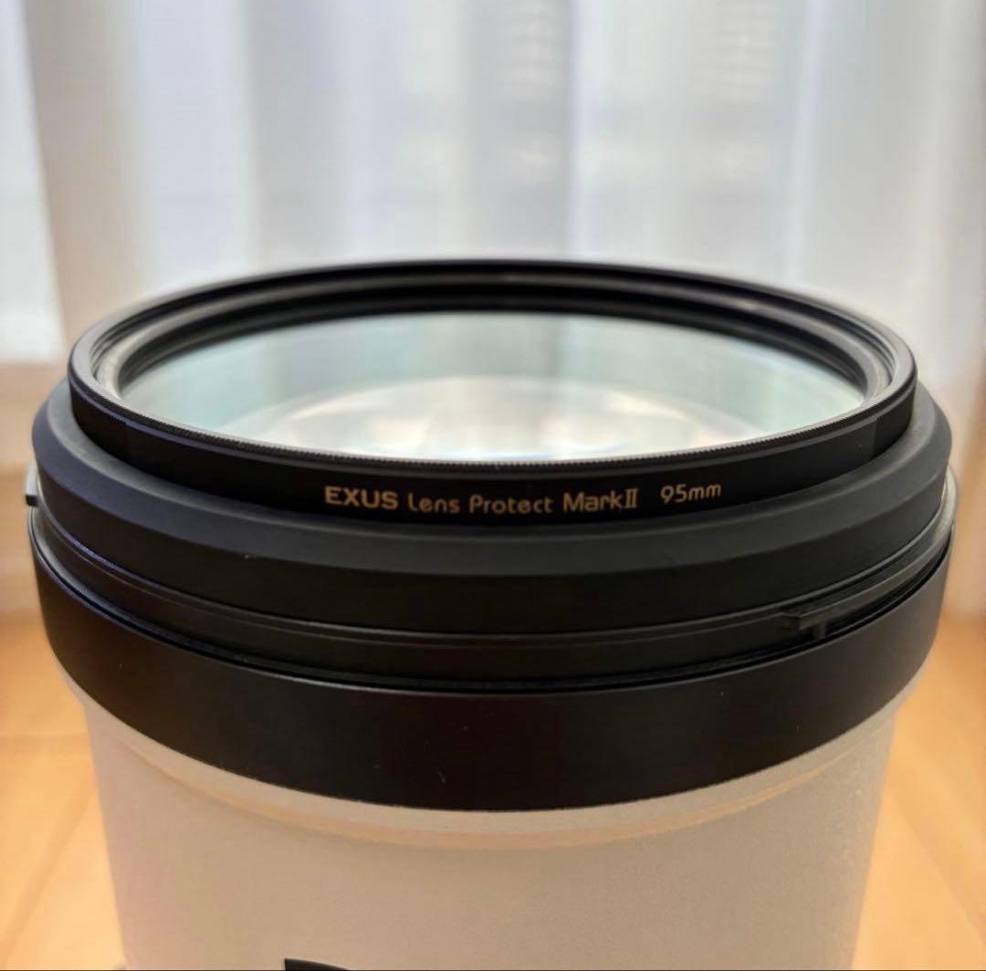 Sony FE 200-600mm F5.6-6.3 G OSS ズームレンズ