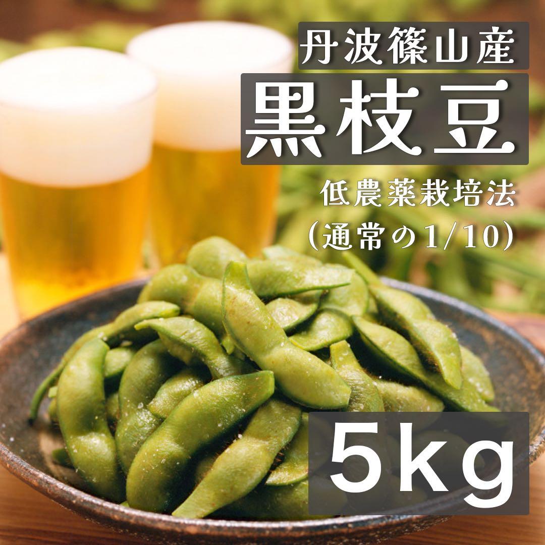 《新鮮》 兵庫県丹波篠山産　丹波黒枝豆　5キロ 低農薬栽培 黒大豆