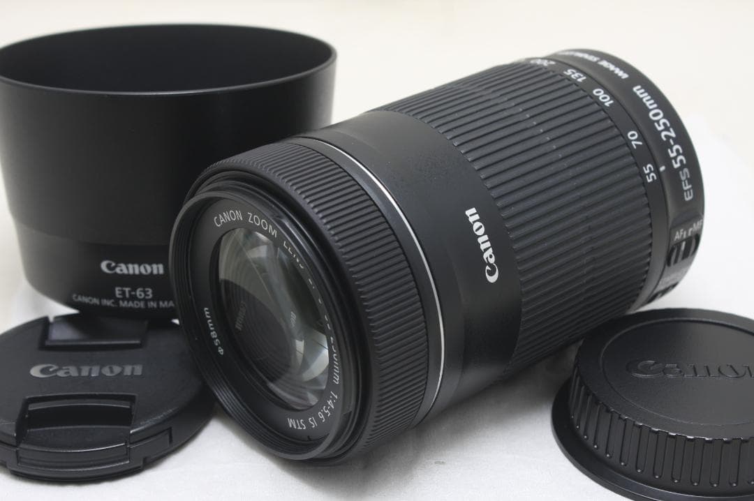 キヤノン EF-S 55-250mm F4-5.6 IS STM 0916
