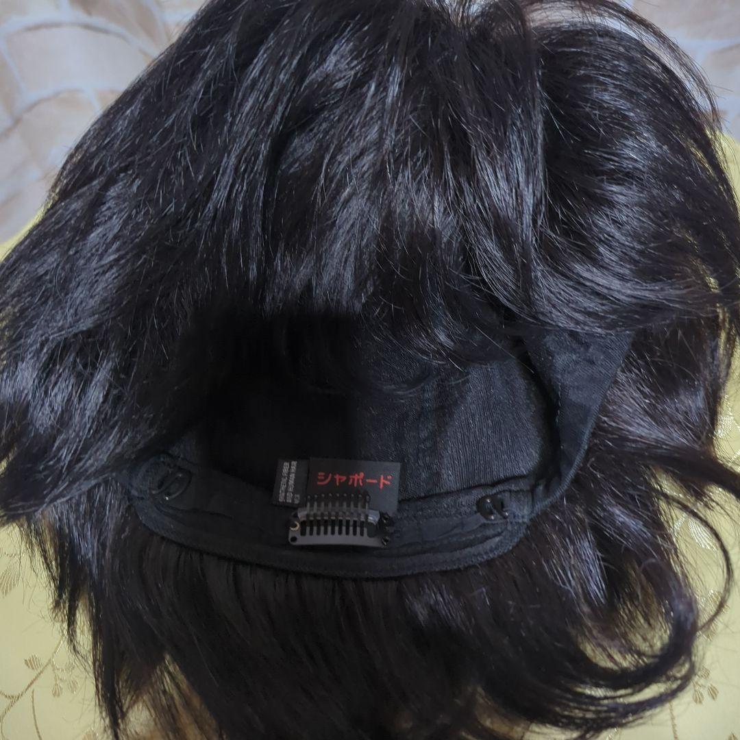 オールウィグ　シャポード