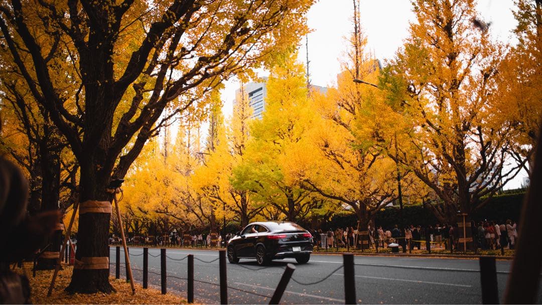 SIGMA 35mm F1.4 DG HSM Art SONY Aマウント