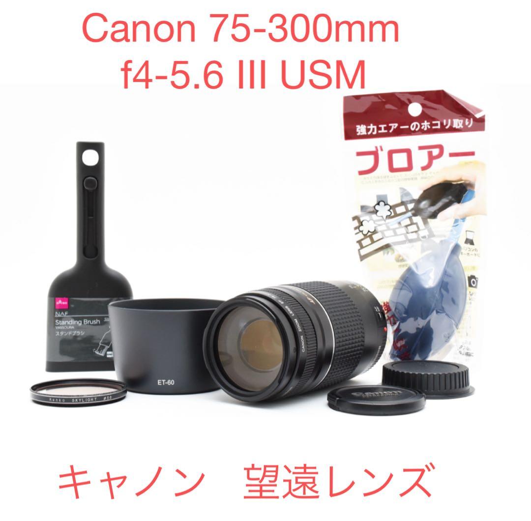 デジタル一眼レフカメラ/望遠レンズ /Canon EF75-300 Ⅲ USM