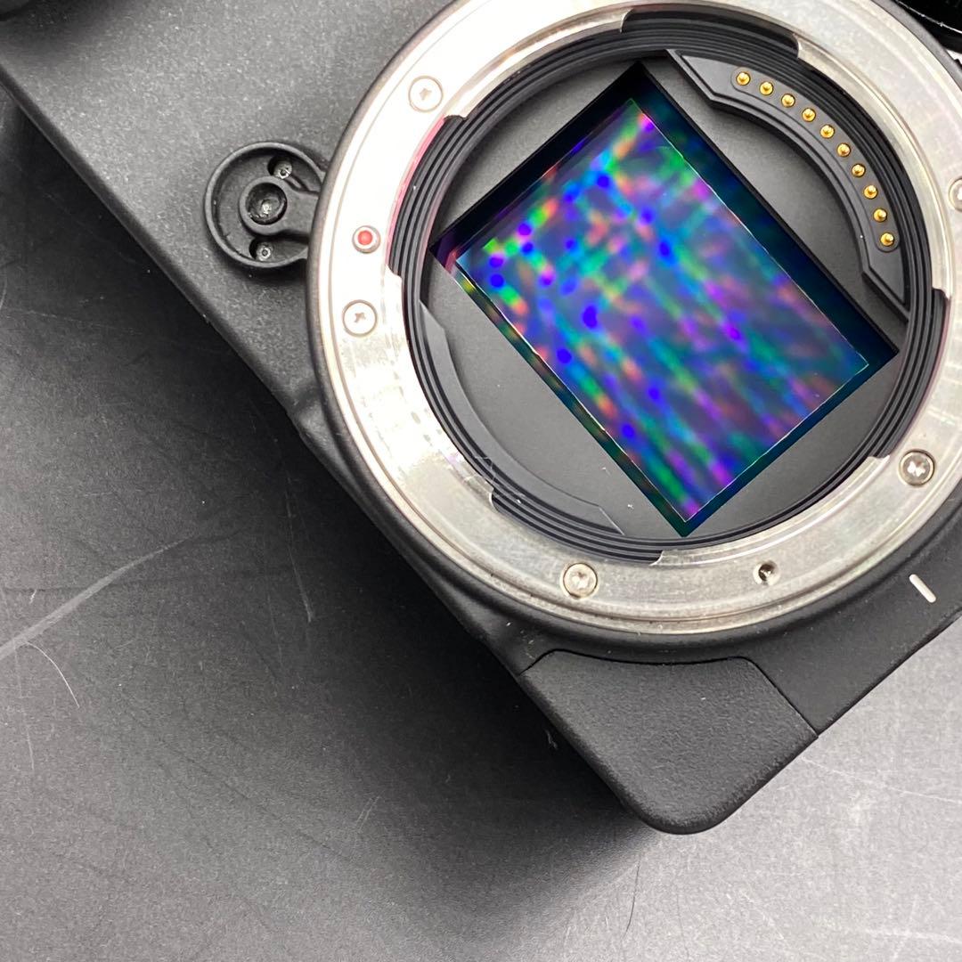 Sigma fp モノクローム専用機＋レンズセット monochrome