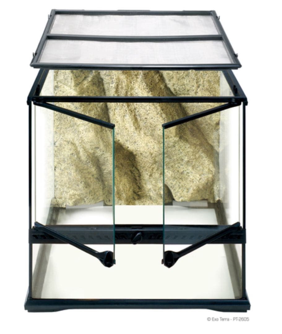 GEX エキゾテラ グラステラリウム 4545 PT2605