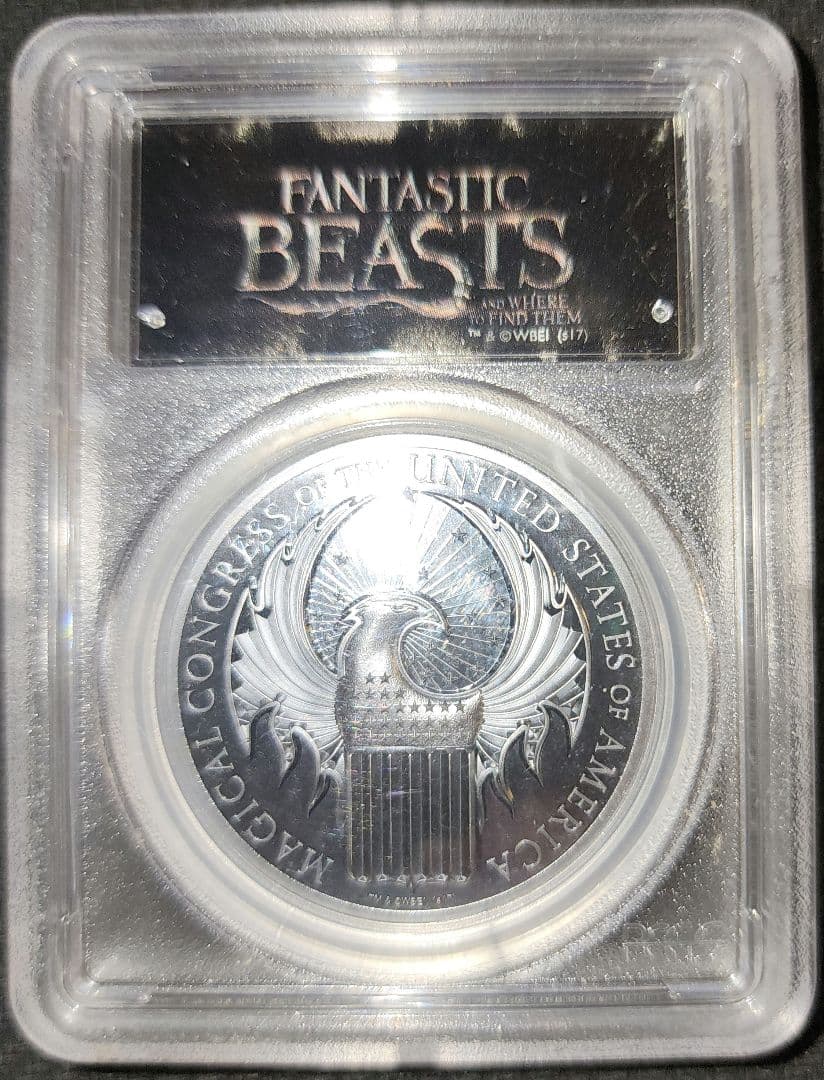 本日限定価格！(プロフ必読)超激レア ファンタビプルーフ