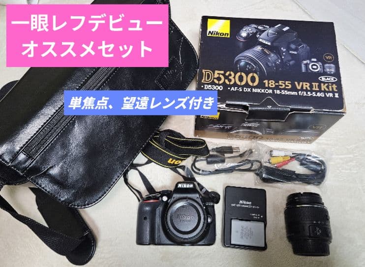 レンズ３本Nikon D5300 AF-P 18-55 VR+単焦点望遠