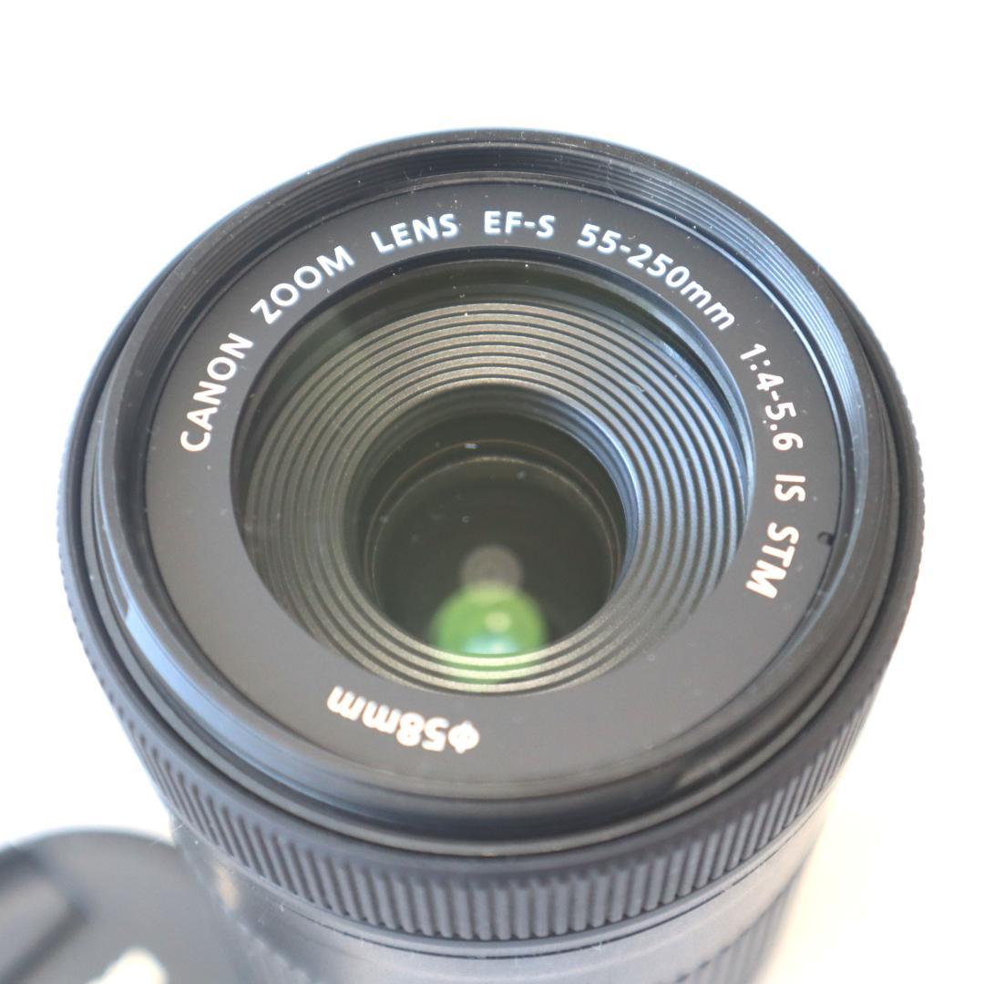 Canon EF-S 55-250mm F4-5.6 IS STM　キヤノン