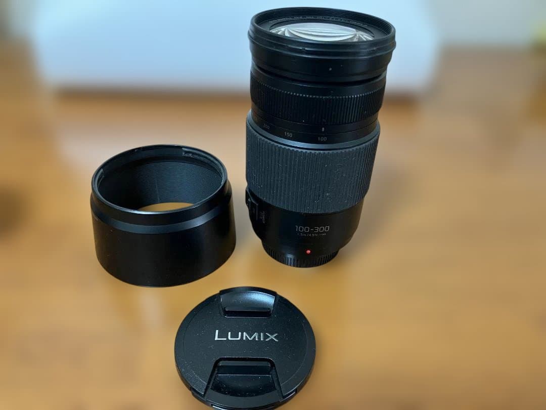 【価格相談可】LUMIX G VARIO 100-300mm/F4.0-5.6