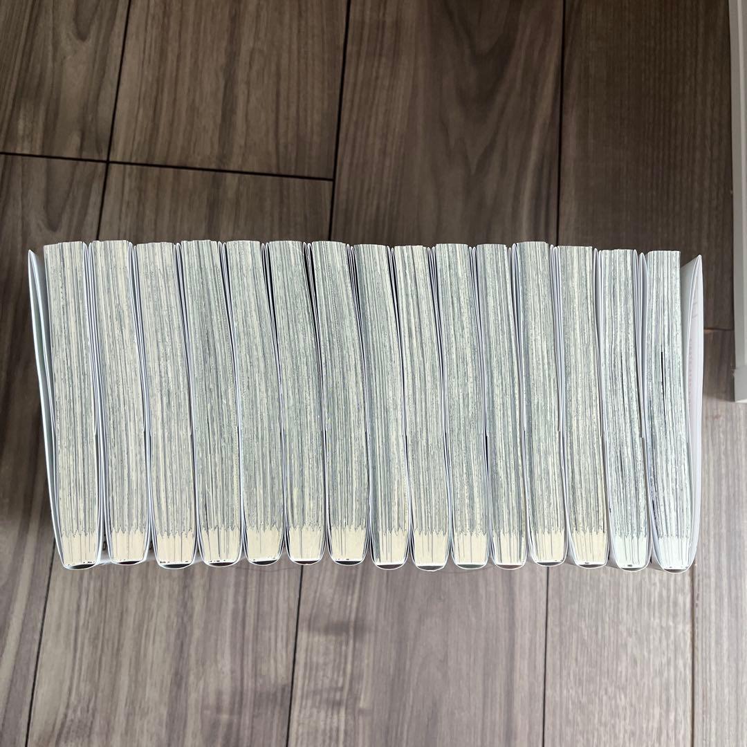 薬屋のひとりごと　ビッグガンガン