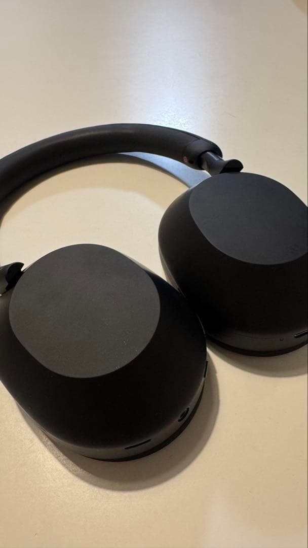 Sony WF-1000XM5 ワイヤレスヘッドホン ブラック