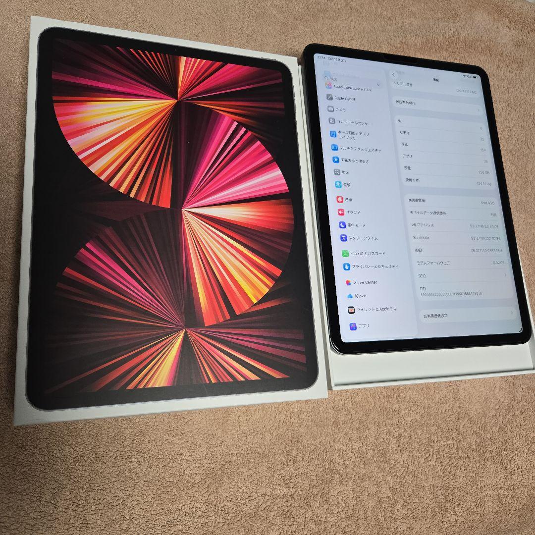 iPad Pro 11インチ 第3世代 256GB Wifi+Cellular