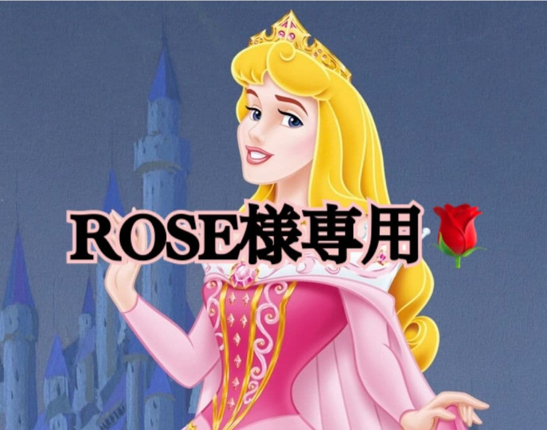 ROSE CHANELフラグメントケース2個セット