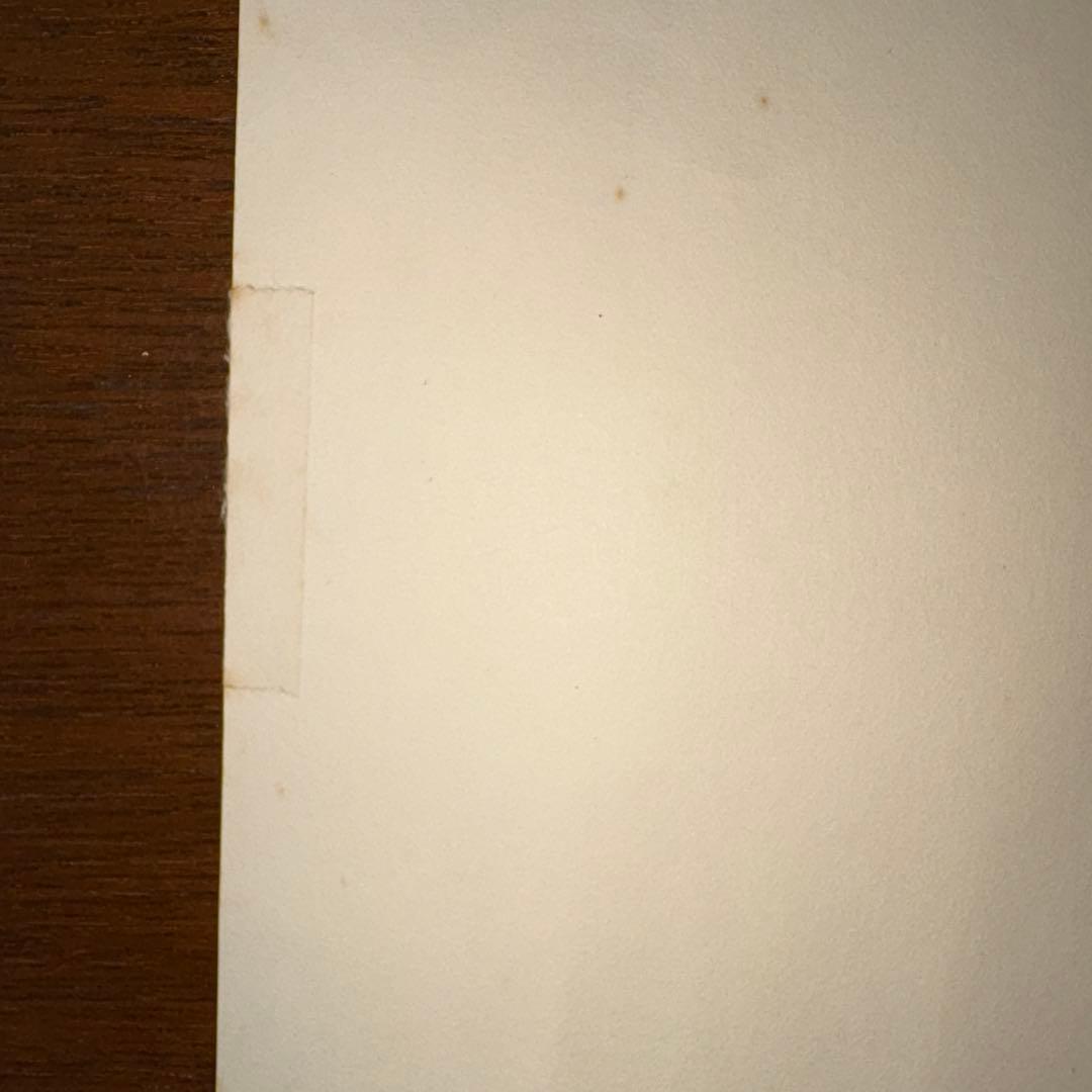 山城隆一　ネコの部屋　シルクスクリーン　24/150 サイン入り