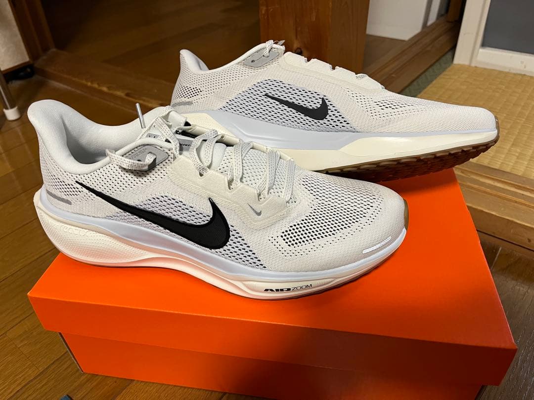 エアズームペガサス41（27cm）