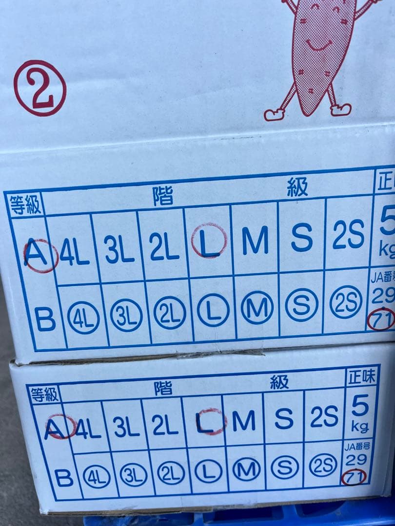 ジジンゴ！大分県産　甘太くんA品Mサイズ　20キロ