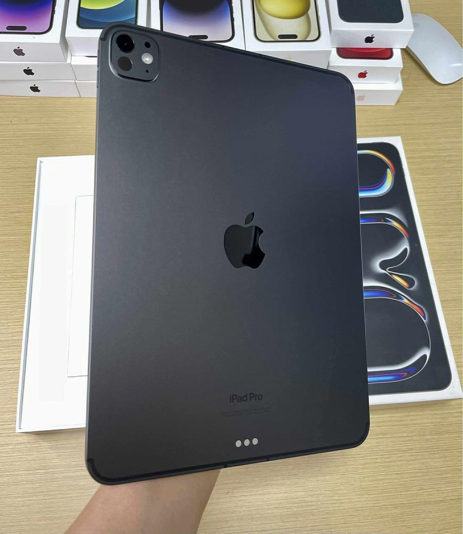 【美品】iPad Pro 11 M4 WiFi+Cellular 512GB