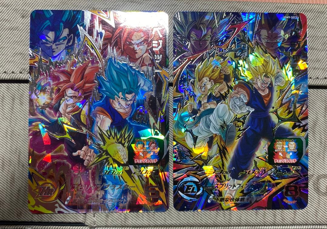 リバチェンベジット 2枚セット