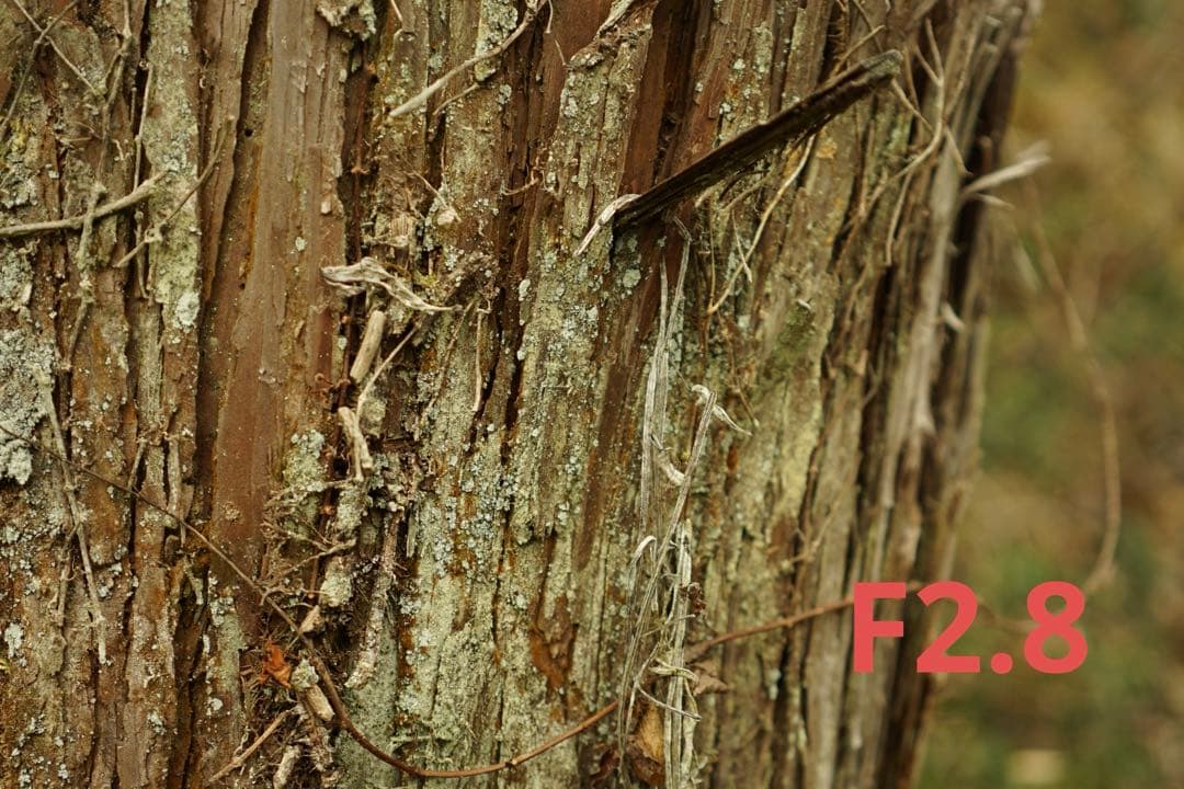 レンズ(単焦点) SEL35F28Z