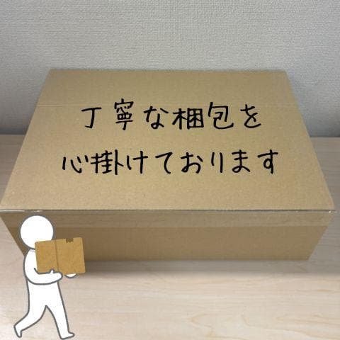 ノンフライヤー エアフライヤー 一人暮らし 1~2人用 2L コンパクト ノンp