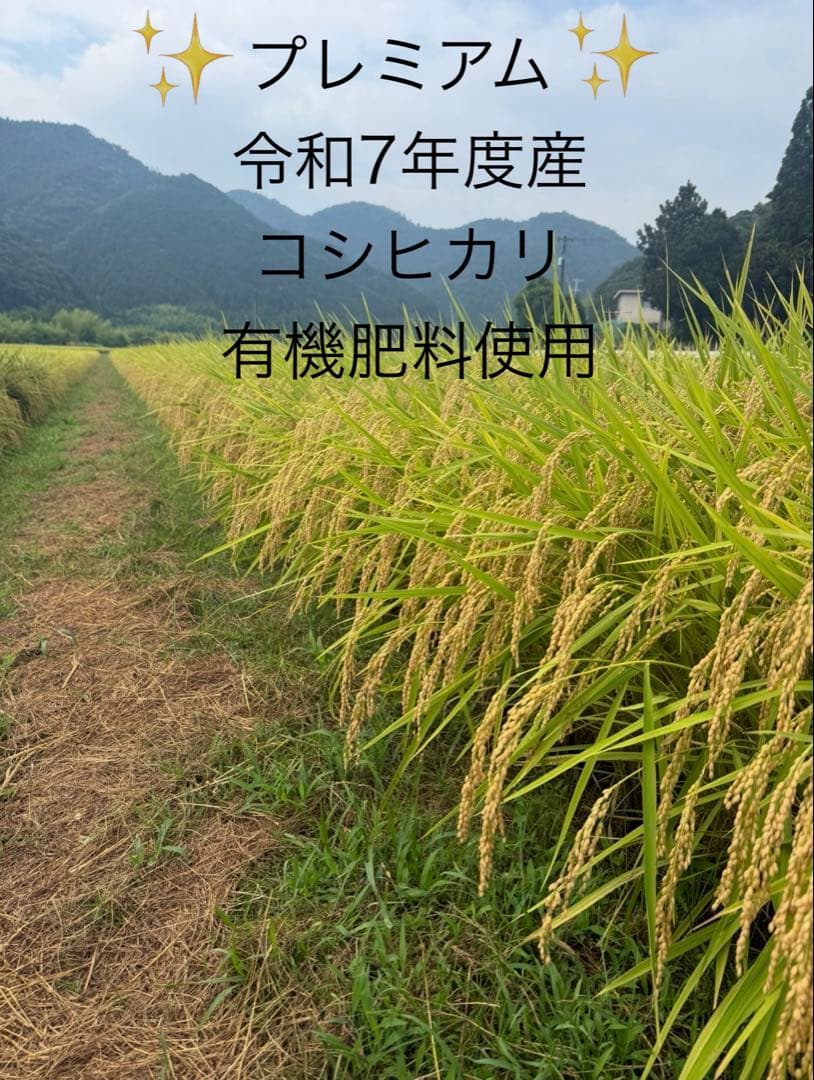 令和7年度愛媛県産コシヒカリ10k 有機肥料で作ったお米　 プレミアム(一等米)