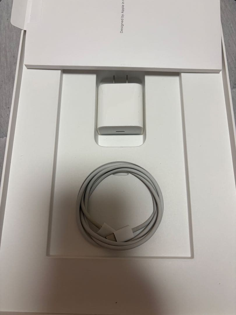 11インチiPad Pro第3世代256GBWi-Fi +Cell最終値下げ‼️