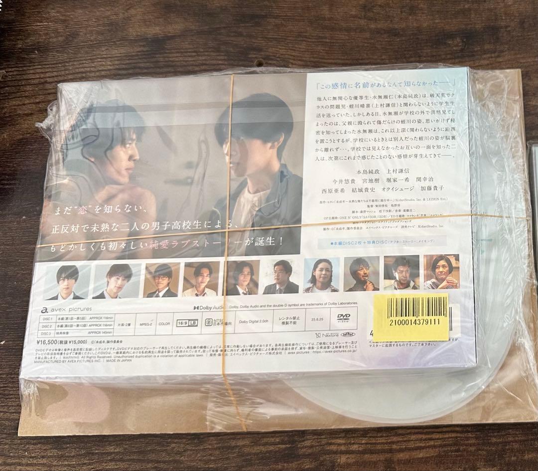 未成年～未熟な俺たちは不器用に進行中～ DVD-BOX(うちわ)